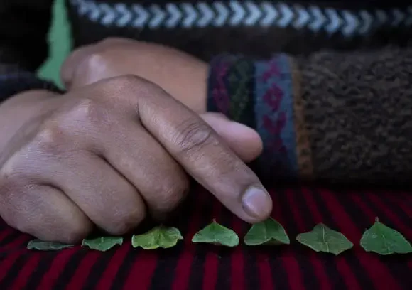 Coca Leaf Reading Ceremony (Kuka Qhaway)